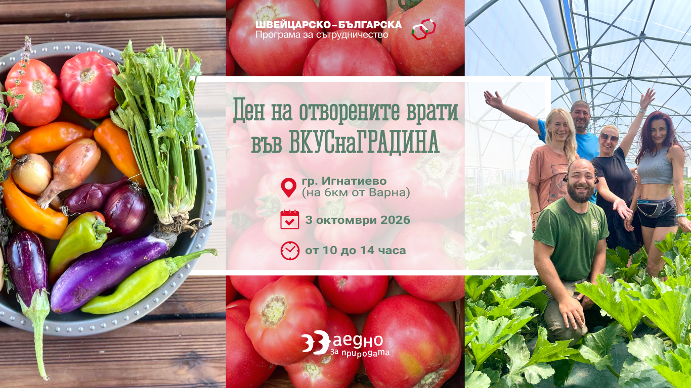 РУ_кампания